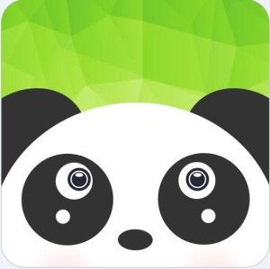 上海雄起网络科技 深耕本土，引领上海网络技术新浪潮