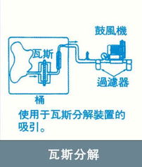 东莞市首普机电与上海Prow普柔网络技术的深度合作与信息化实践