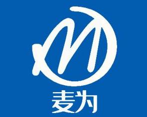 上海麦为网络科技 引领数字创新的网络技术先锋